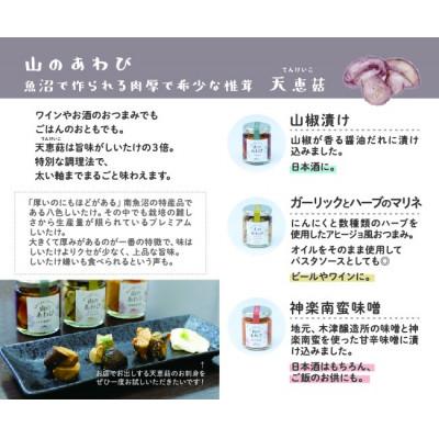 ふるさと納税 南魚沼市 山のあわび　魚沼天恵〓　三種ギフトセット |  | 02