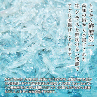 t204mmk　〈6ヶ月定期便〉訳あり 釜揚げシラス 800g×2個 定期便 定期コース 6ヶ月 しらす シラス 釜揚げ 新鮮 塩分控えめ 離乳食 わけあり ワケあり 不揃い しらす丼 海鮮丼 お茶漬