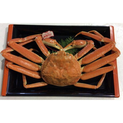 【ふるさと納税】早期受付　鳥取県産タグ付きボイル松葉ガニLL　1枚【2025/10/31までのお申し込み分】【配送不可地域：離島・北海道・沖縄県】【1536365】