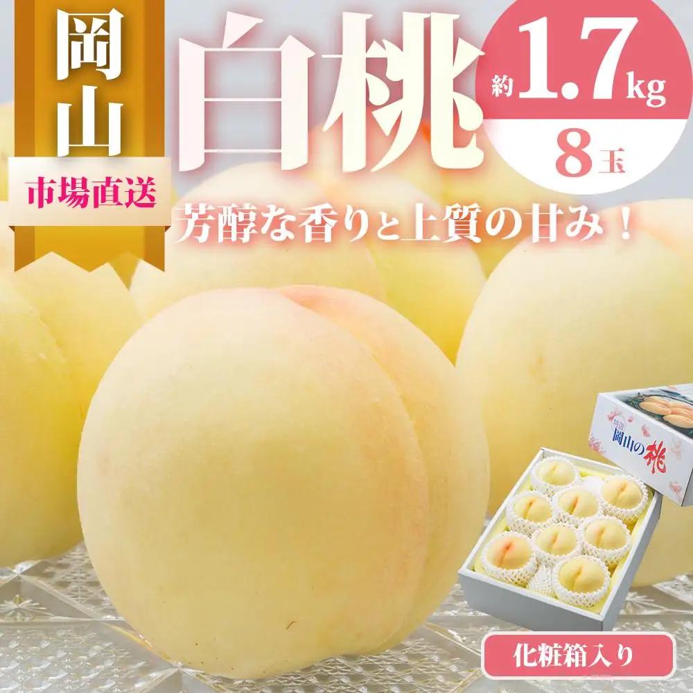 白桃 8玉（合計1.7kg以上）2027年 先行予約 化粧箱入り 岡山県産 白桃 ギフト
