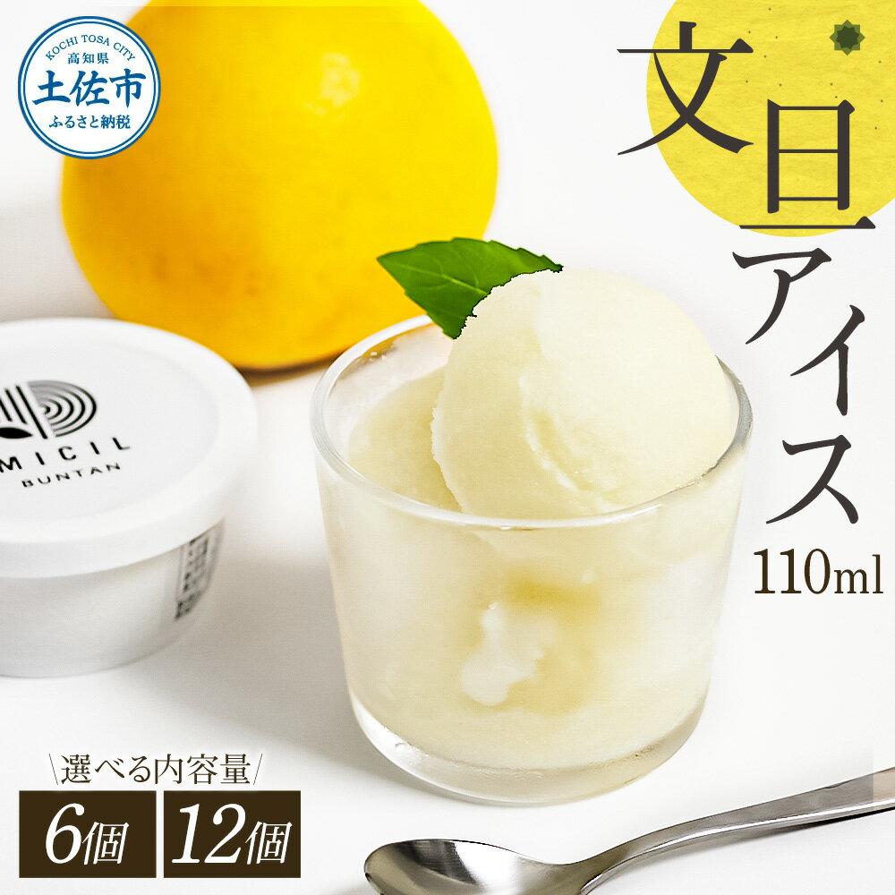 【ふるさと納税】文旦アイス 選べる入数 6個入り 12個入り 1個110ml ブンタン ぶんたん フルーツ 果物 柑橘 みかん お菓子 おかし おやつ デザート スイーツ ギフト おいしい 爽やか シャーベット お取り寄せ 冷凍 配送 高知県 土佐市 返礼品