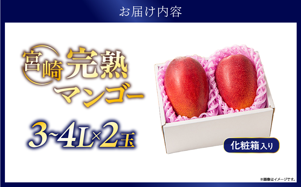 先行予約 完熟マンゴー 3～4L×2玉（化粧箱）マンゴー 宮崎 果物 フルーツ くだもの 2027年 国産 高級 マンゴージュース 南国フルーツ おすすめ デザート ギフト 贈り物 プレゼント 贈答 冷蔵 綾町 送料無料 【JA綾町】_A0114-2352