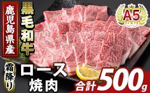 K-482-B 鹿児島県産A５等級黒毛和牛霜降り上ロース焼肉(計500g)【ふるさと産直バザール】霧島市 牛肉 国産 鹿児島県産 ロース 焼肉 肉 精肉