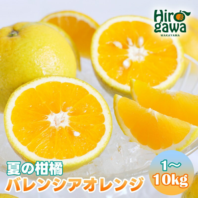 【ふるさと納税】 バレンシア オレンジ 家庭用 / みかん オレンジ 甘い 高級 和歌山 柑橘 1kg 5kg 10kg 6000円 9000円 ※7月中旬頃〜8月下旬頃に順次発送 ※北海道・沖縄・離島への配送不可 //hassaku