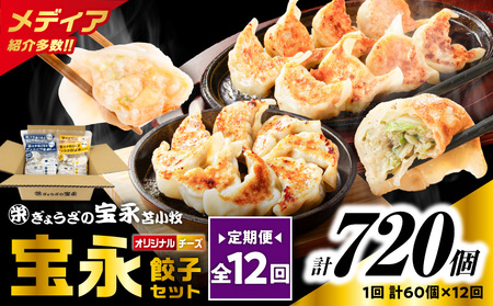 【 全12回 定期便 （ 毎月 ） 】 チーズ 餃子 セット （ 宝永餃子 15個入 × 2袋 ＆ チーズ餃子 15個入 × 2袋 ） 合計1.5kg T004-T02-05 定期 惣菜 総菜