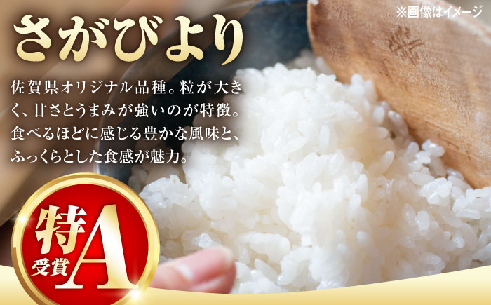 【14年連続特A評価】武雄市産 さがびより 3kg /株式会社 y’s company [UDX015]