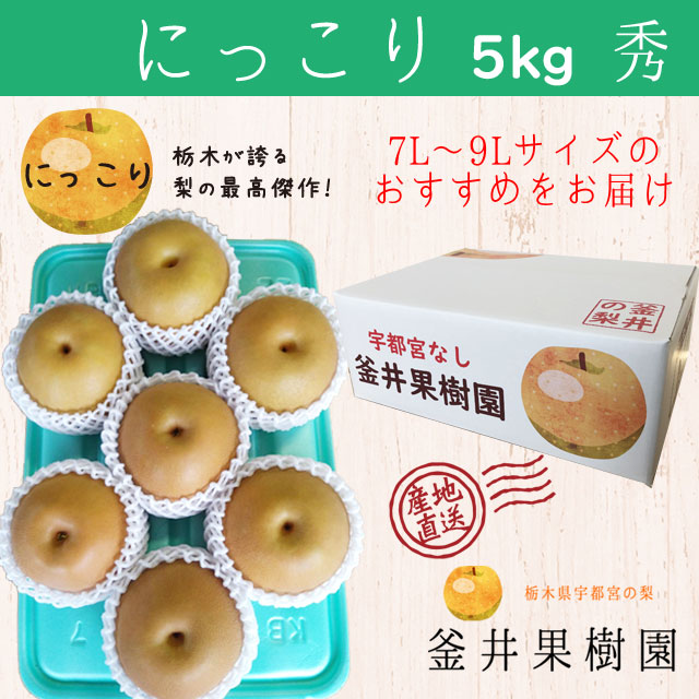にっこり 5kg 6～8玉 ｜ 栃木県産 宇都宮市 梨 なし にっこり フルーツ 果物　※離島への配送不可　※2024年11月上旬頃～11月中旬頃に順次発送予定