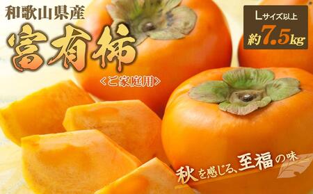 【ご家庭用】和歌山県産 富有柿約7.5kg【2025年11月上旬から11月下旬頃順次発送】【S96006-mtgn050】