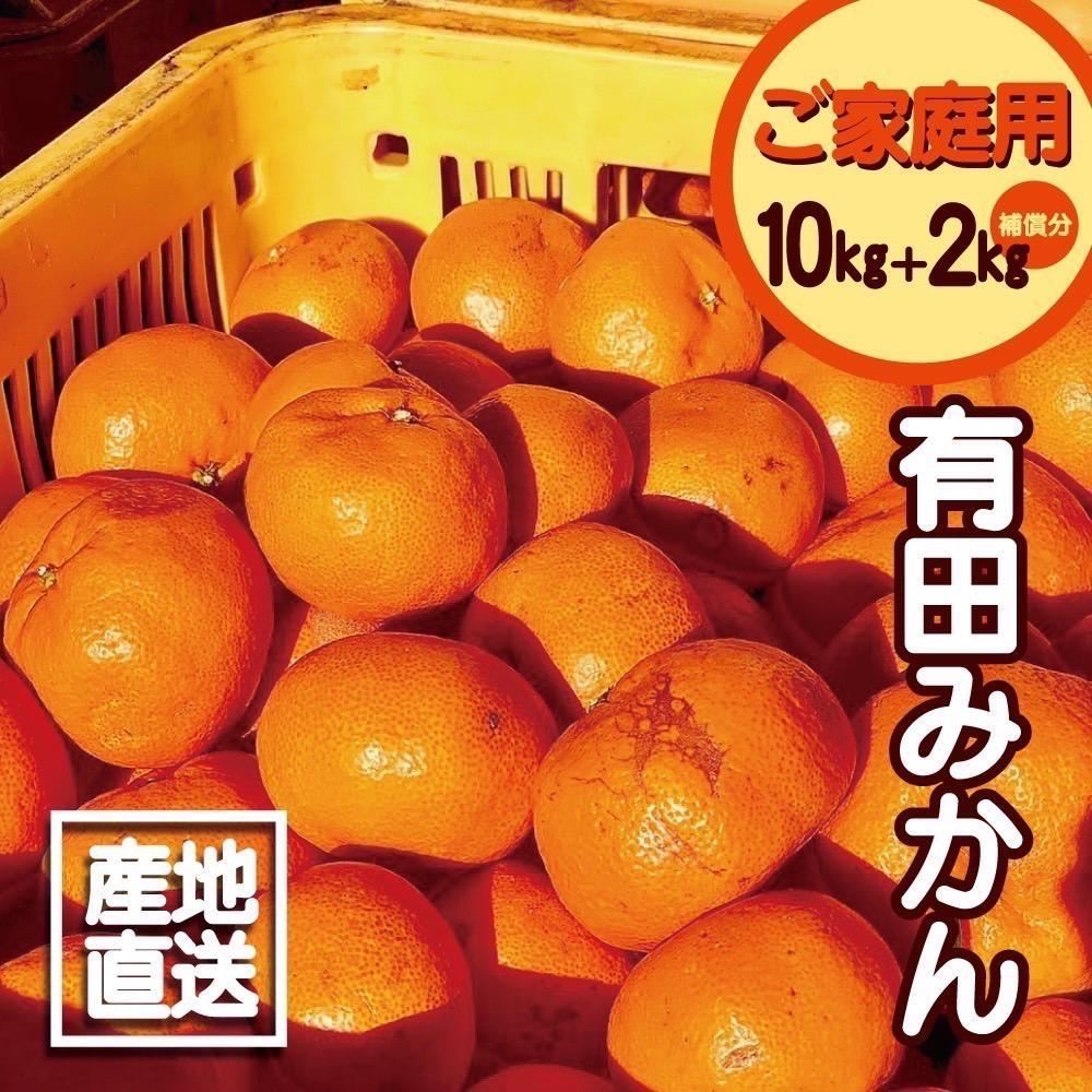 【ふるさと納税】【訳あり】有田みかん 10kg＋2kg 保証分 2S～3Lサイズ混合 | 訳ありみかん 有田みかん みかん ミカン 蜜柑 柑橘 温州みかん 和歌山 ご家庭用 フルーツ 果物 くだもの 食品 人気 おすすめ 送料無料