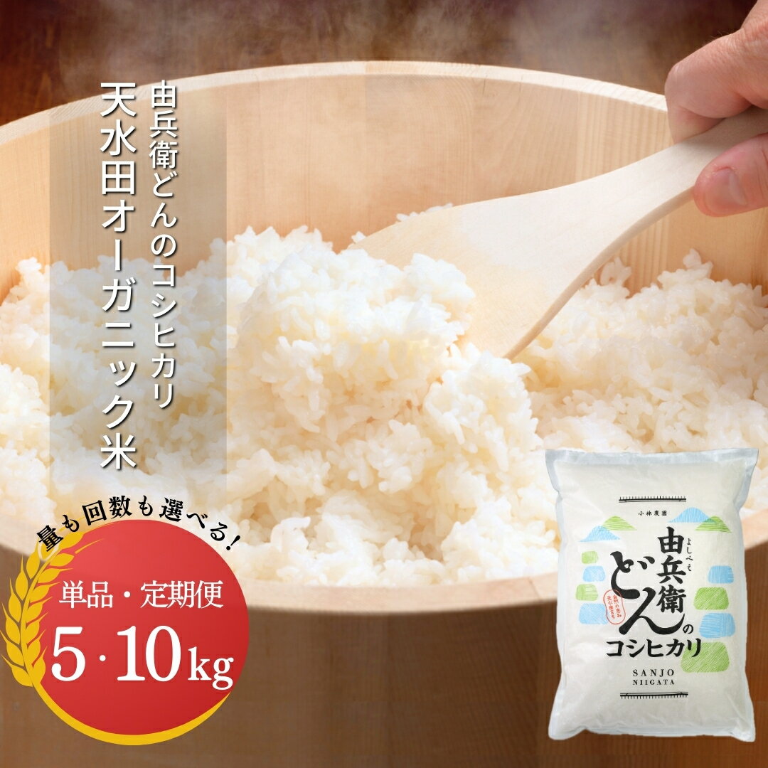 【ふるさと納税】先行予約 天水田で育った コシヒカリ 選べるキロ数 回数 5kg or 10kg 1回 3回 6回 令和7年産 新米 オーガニック米 新潟県産 こしひかり [由兵衛どん]