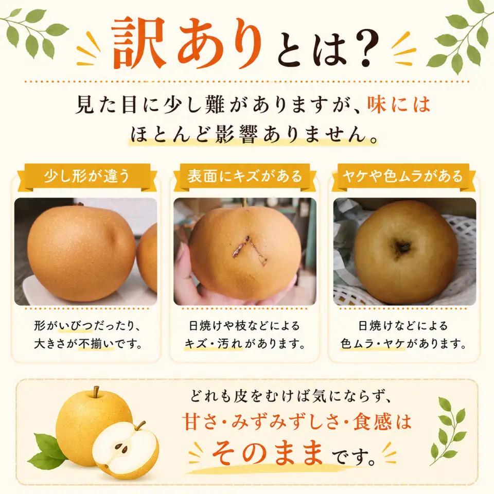 ≪訳あり品≫新高梨 4～6玉 （約 4kg）【常温】【10月中旬～10月下旬発送】2026年秋発送