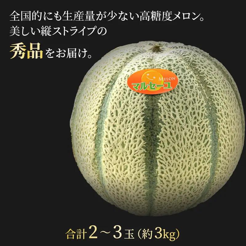【先行予約】佐藤農園のマルセイユメロン 約3kg前後《秀品》(2～3玉入）深みのある甘さ とろける濃厚な赤肉！農家直送 有機肥料 低農薬 ※2027年5月下旬～6月末の間に順次発送 [aw069-a0