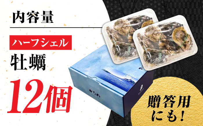 広島牡蠣の老舗！安心・安全の新鮮牡蠣【生牡蠣】牡蠣 かき 殻付き 開殻 ハーフシェルオイスター 12個入 生食用 魚介類 海鮮 広島県産 江田島市/株式会社かなわ [XBP010]