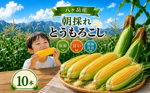 八ヶ岳産 朝採れ とうもろこし 10本 | 朝採れ トウモロコシ とうもろこし 自然 旨味 甘味 信州 八ヶ岳 長野県 諏訪郡 原村