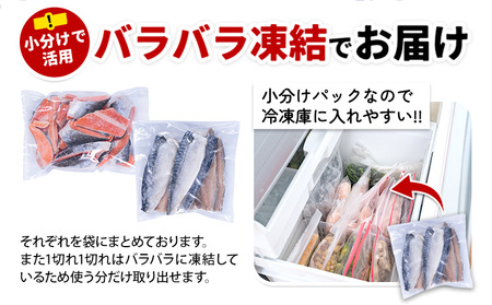 訳あり 塩銀鮭 塩サバ 計2.5kg サバ 西川