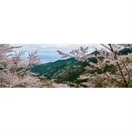 天理の風景1『FLEETING DANCE ～儚い舞～』 A4額装プリント【1712602】