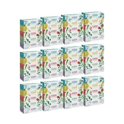 ふるさと納税 八代市 【毎月定期便】【スコッティ】 ティシュー フラワーボックス 250組 5箱P×12 合計60箱全3回 |  | 01