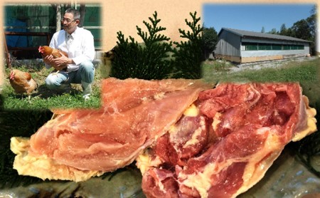 奥美濃古地鶏 鶏肉セット もも むね 神代の味 奥美濃古地鶏【冷凍】
