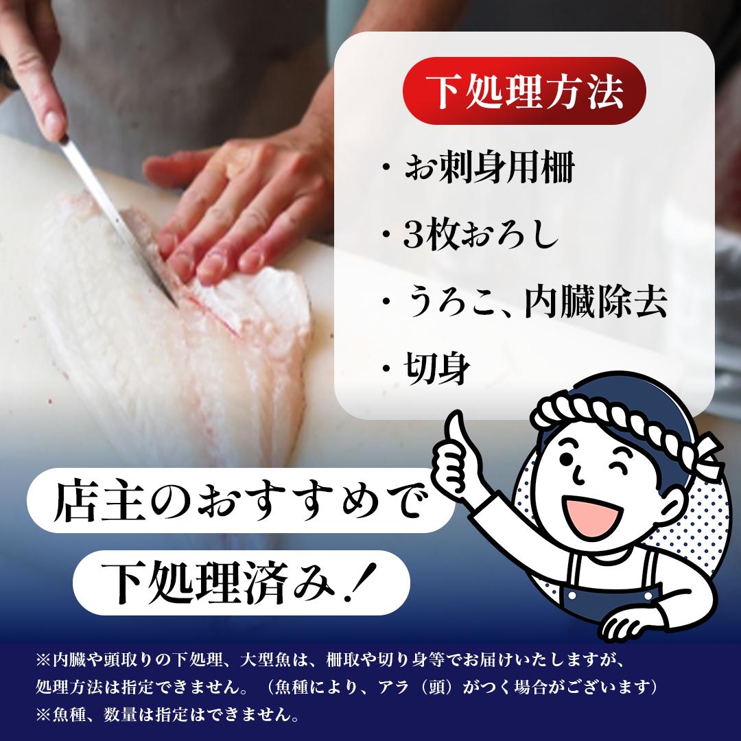 鮮魚 冷蔵 クール便「 開けたらすぐ食べられる下処理済み 海産物 2～3人前 セット 」佐藤鮮魚店【 パック 詰め合わせ 海鮮セット 鮮魚ボックス 海鮮 海の幸 魚介 魚介類 刺身 切り身  秋田県 