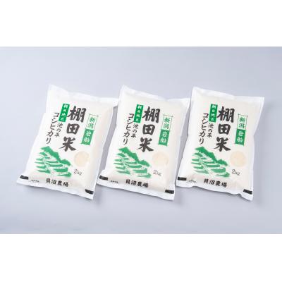 ふるさと納税 村上市 【令和7年産米】新潟県岩船産　棚田米コシヒカリ6kg　A4184