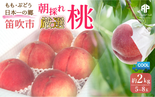 
            笛吹市産　厳選! 旬の桃 約2kg (5~8玉) 205-001-oya
          