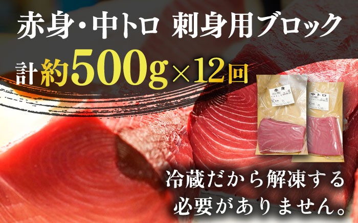 【全12回定期便】五島列島産 養殖 生本かみマグロ 赤身 中トロ 計約500g / まぐろ 鮪 刺身 ブロック