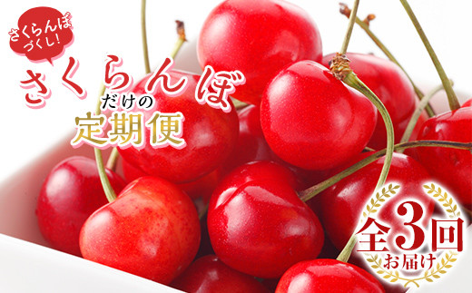 【2026年発送先行予約】さくらんぼだけの定期便 全3回 FSY-1000
