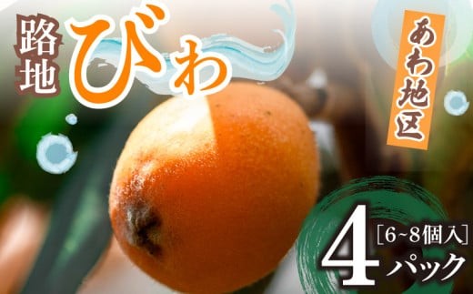 【 早期予約受付 5月中旬頃より順次発送 】びわ 枇杷 フルーツ 6 ~8個 4 パック  果物 南国 フルーツ ビワ 高知 高知県 須崎市 安和