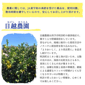 日越農園 愛媛県明浜産 今津ポンカン 5kg AHN0001