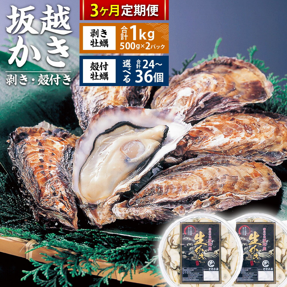 【ふるさと納税】【3回定期便】坂越かき 剥き身 約500g×2パック（計約1kg） 【選べる個数】 殻付き 24個・36個 ／ 牡蠣 かき カキ オイスター 生牡蠣 生カキ 生ガキ 生がき 殻付 魚介 貝 生食 瀬戸内海 兵庫県 赤穂市 冷蔵 送料無料【2026年2月上旬～4月下旬発送予定】