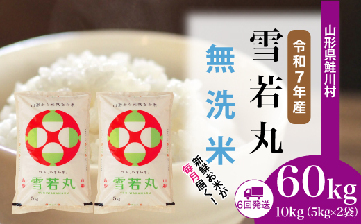 ＜令和7年産米＞ 雪若丸 【無洗米】 定期便 60kg （10kg×1ヶ月間隔で6回お届け）＜配送時期選べます＞　山形県鮭川村