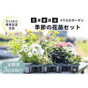 【ふるさと納税】花 定期便 3ヶ月季節の花苗 セット 花き品評会理事長賞受賞 花苗 生産者直送 庭季節の花苗セット ガーデニング 花壇 苗 苗木 花の苗 花の苗物 定期 お楽しみ 3回 お届け　定期便・稲美町