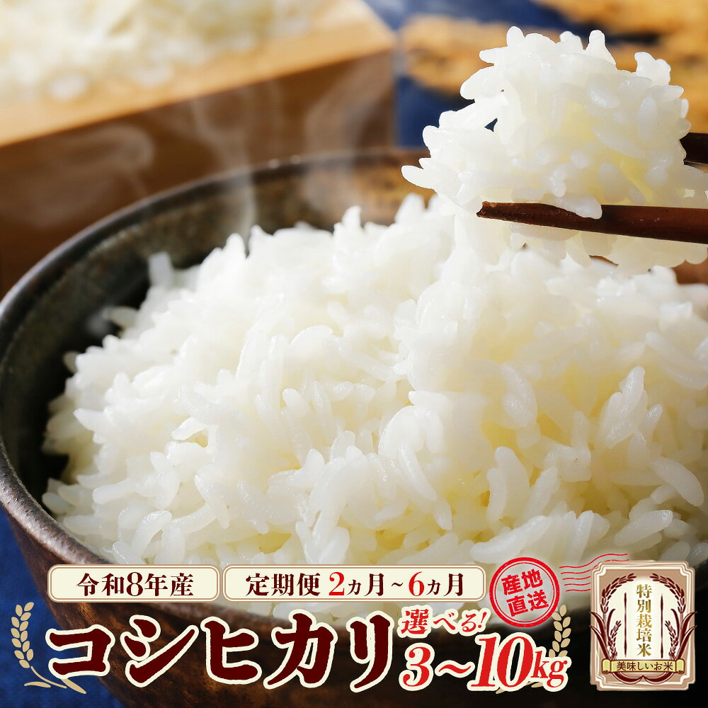 【ふるさと納税】特別栽培米　コシヒカリ　【選べる内容量・お届け回数！3〜10kg 1〜6回】 国産 お米 こめ コメ 白米 精米 ごはん 定期便 令和8年産 雪蔵銀ぴか米 会津 喜多方【07208-0842~0955】