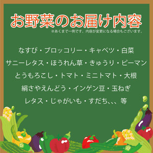 野菜 定期便 年6回 5~7品目 詰め合わせ セット 旬 新鮮 季節の野菜 なすび ブロッコリー キャベツ 白菜 レタス サニーレタス ほうれん草 きゅうり ピーマン とうもろこし トマト ミニトマト