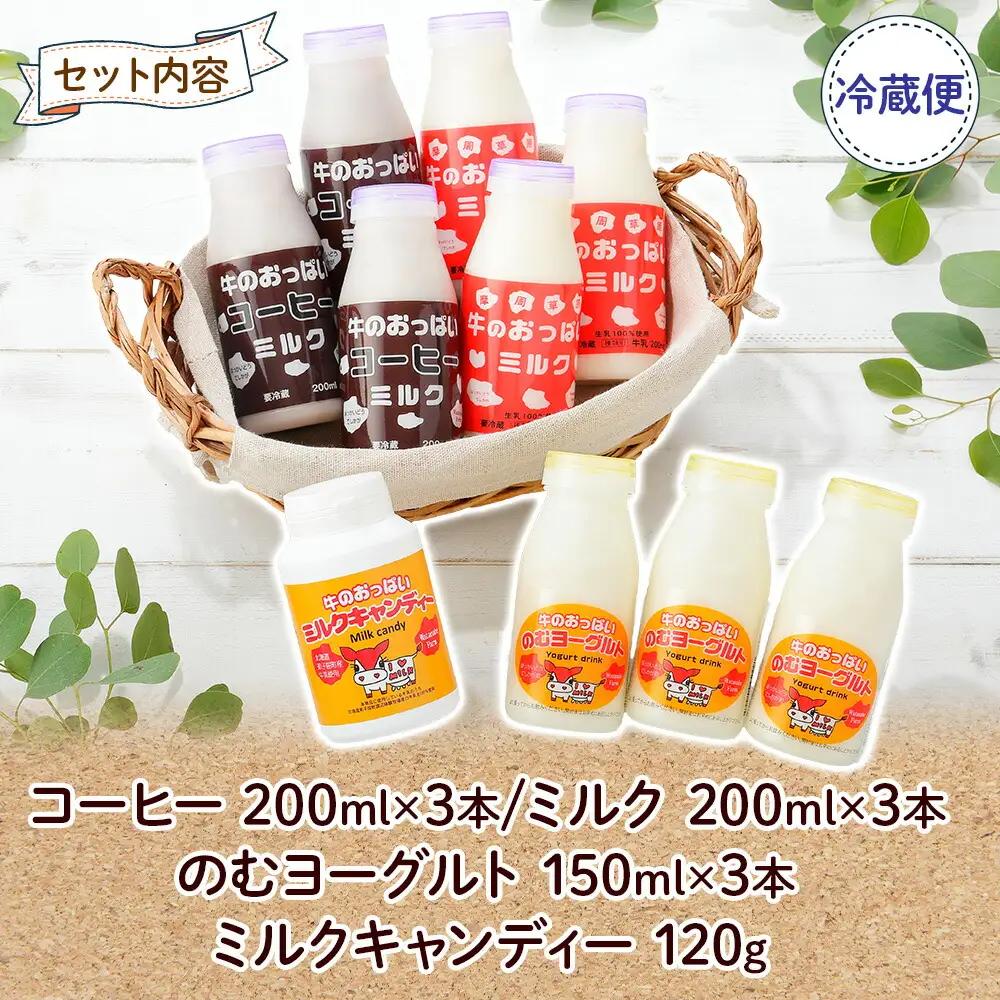 牛のおっぱいミルク 3本 コーヒーミルク3本 のむヨーグルト3本 計9本 おっぱいミルクキャンディー1個 セット 牛乳 生乳 ミルク 牛 酪農 飲料 しぼりたて 珈琲 ヨーグルト 飴 お取り寄せ ギフ