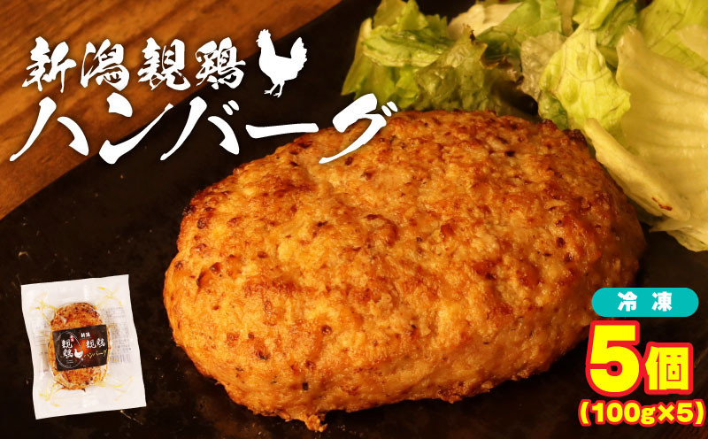 
            親鶏 ハンバーグ 5個 500g 100g × 5 パック 鶏肉 鶏 チキン タンパク つくね 肉 とり 精肉 ブランド鶏 おかず おつまみ 冷凍 小分け 簡単調理 郷土食 新潟親鶏 新潟産 新発田産 マルコ岩村 新潟県 新発田市 maruco003
          