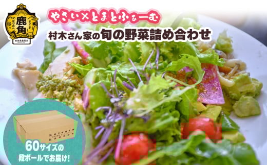 村木さん家の旬の野菜詰め合わせ 5～7種【やさい×とまとふぁーむ】●2025年7月下旬発送開始 野菜 新鮮 採れたて セット 食べ比べ 詰め合わせ サラダ 産地直送 農家直送 新鮮 旬 県産 国産 お中元 お歳暮 グルメ ギフト 故郷 秋田 あきた 鹿角市 鹿角 送料無料 
