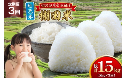 米 令和7年 無洗米 棚田米 5kg 3回 定期便  総計15kg [ひらど新鮮市場 長崎県 平戸市 hr42bgy400249] 令和7年産 コメ こめ ごはん ご飯 白米 精米