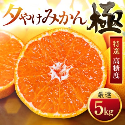 【甘みが濃縮されたみかん】愛媛で育った夕やけみかん【極】5kg(小玉)【C49−10】【1243462】
