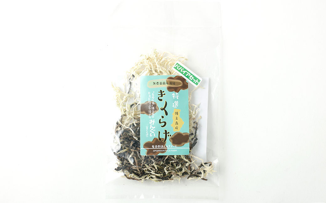 鹿児島県 徳之島産 天城町 きくらげ&パパイヤスライス 計40g（20g×2個） 