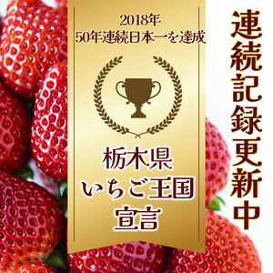 【ふるさと納税】［1月発送予定］栃木県共通返礼品　JAうつのみや直送  とちあいか |  いちご 果物 甘い フルーツ 産地直送  味覚 デザート お菓子 下野市 栃木県 送料無料