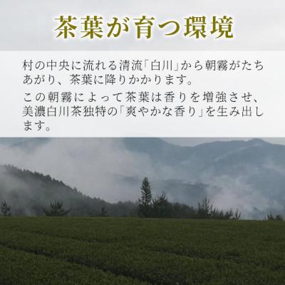 ふるさと納税 東白川村 贅沢に愉しむ 茶蔵園 高級煎茶飲み比べセット 3袋入 お茶 白川茶 |  | 03