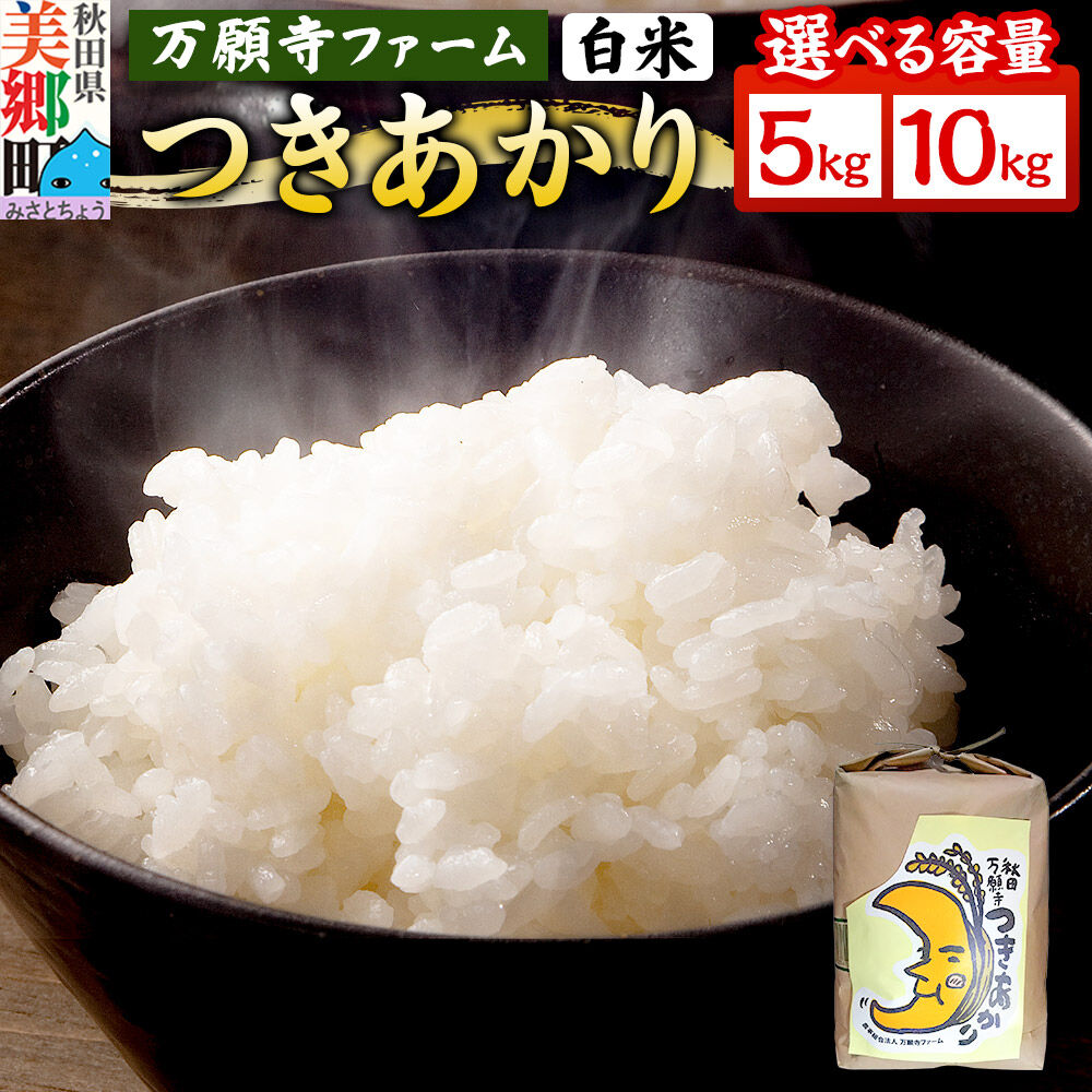 【ふるさと納税】米 万願寺産 令和7年産 つきあかり 白米 【選べる容量 5kg・10kg】 秋田県産 [つきあかり 秋田県産 白米 精米]