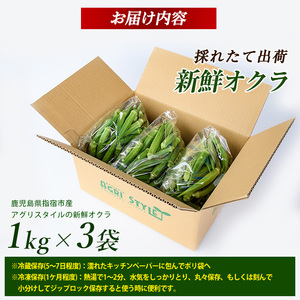 新鮮オクラ1kg×3袋(アグリスタイル/A-426) 野菜 夏野菜 夏 旬 フレッシュ ベジタブル いぶすき 鹿児島