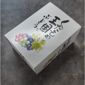 岡山県産シャインマスカット1.3kg(2房)【配送不可地域：離島】【1615817】