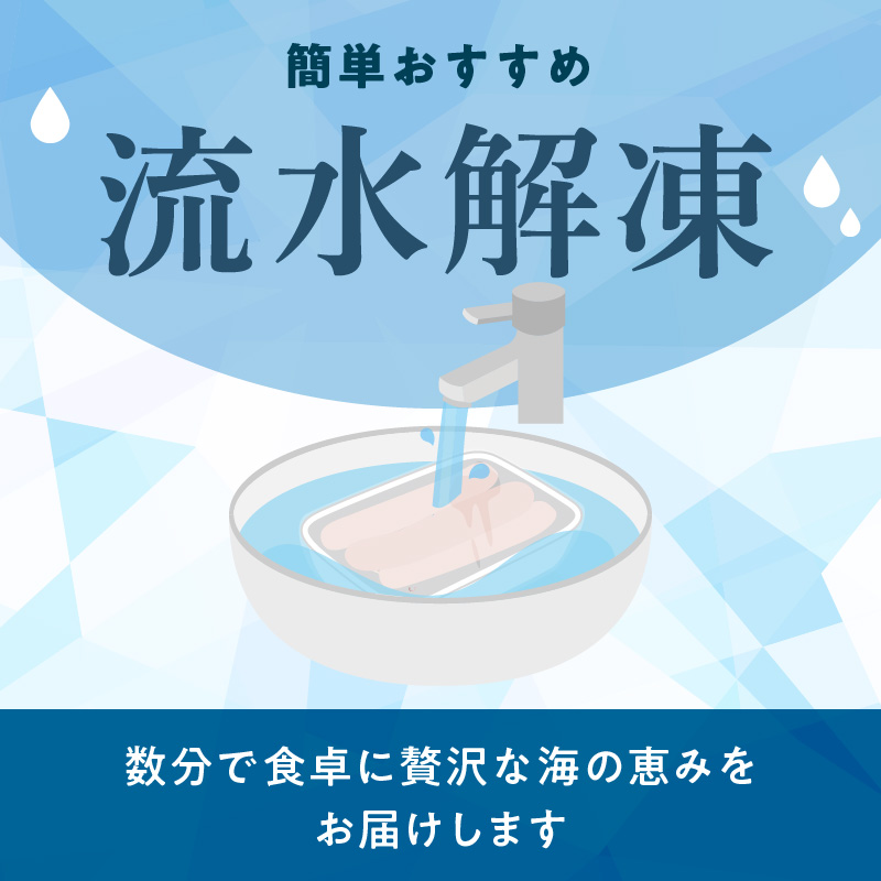 豪華お造りセット　N072-YB628_イメージ4