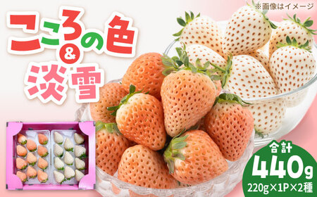 淡雪・こころの色 白いちごプレミアム 計440g（220g×2パック） 【岸川農園】[IAP045]