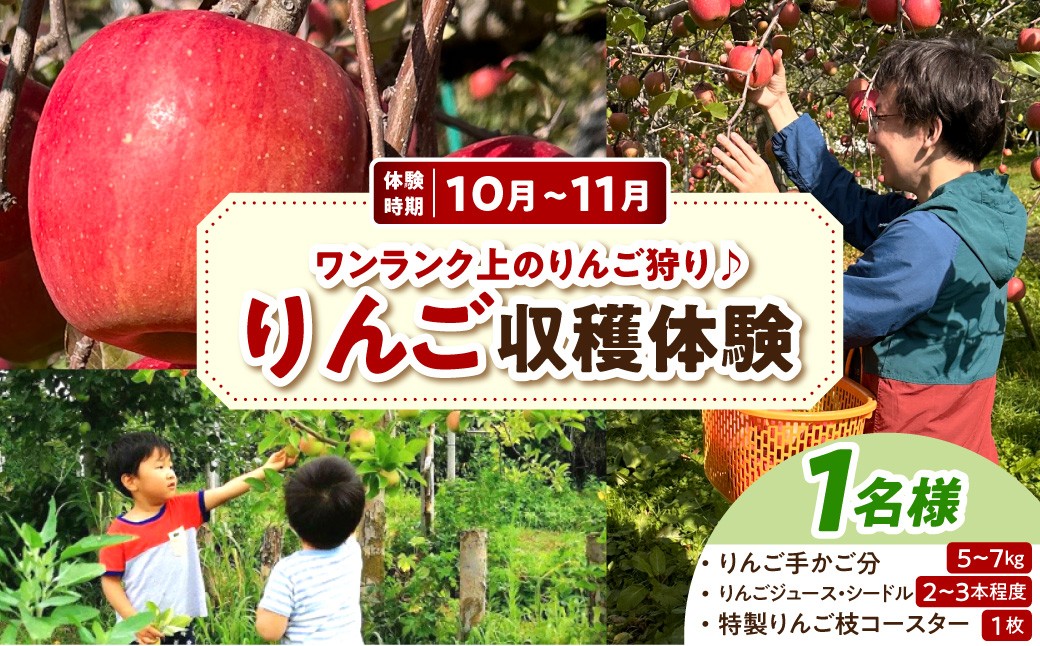
                  収穫体験　ワンランク上の【りんご狩り】 1名様分 体験 （リンゴ品種おまかせ5kg～7kg、りんごジュース／シードル2～3本程度、りんごの木の枝のコースター1枚）青森県五所川原市 トキあっぷる社
                