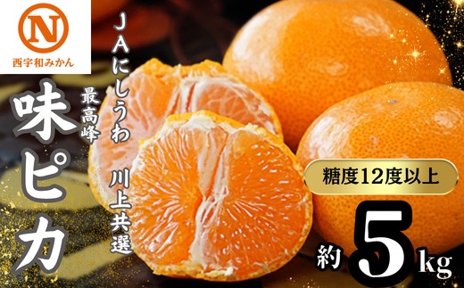 
                  【先行受付】JAにしうわの季節の柑橘(川上共選味ピカ5kg)【E08-24】みかん ミカン 蜜柑 果物 くだもの フルーツ デザート おいしい 甘い かんきつ 柑橘 柑橘類 国産 愛媛 えひめ 愛媛県 八幡浜市【1443302】 YWTV011
                