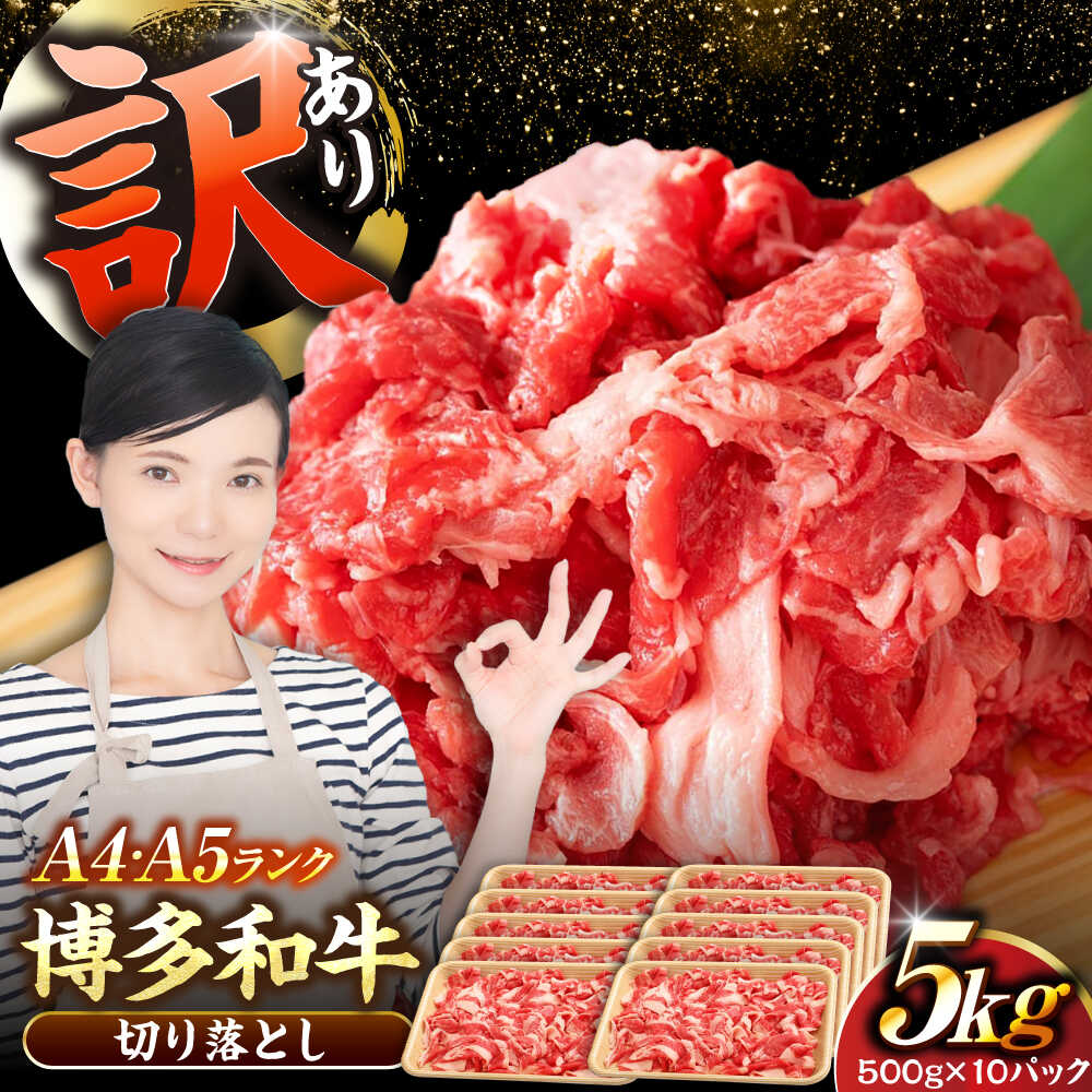 【ふるさと納税】【訳あり】【A4〜A5ランク】 博多和牛 切り落とし 5kg（500g×10個）《豊前市》【株式会社木村食品】[VDZ156] 黒毛和牛 牛肉 和牛 切落し 国産